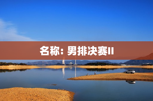 名称: 男排决赛II