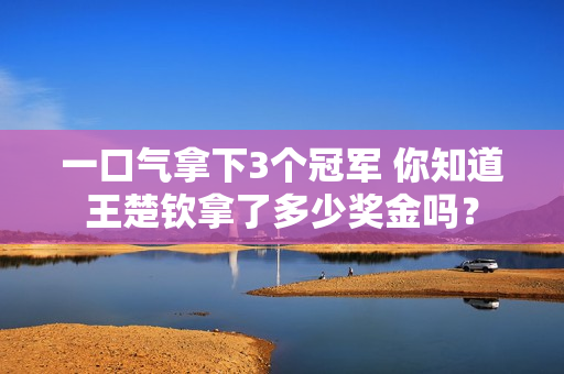 一口气拿下3个冠军 你知道王楚钦拿了多少奖金吗？