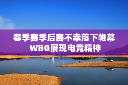 春季赛季后赛不幸落下帷幕 WBG展现电竞精神